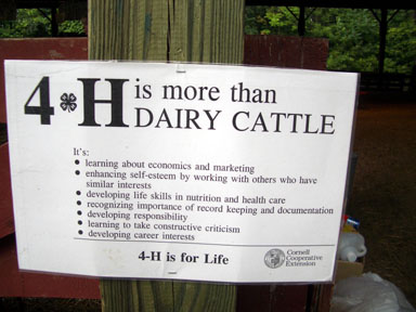 4-H is more