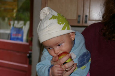 Sungiva gnaws on an apple.