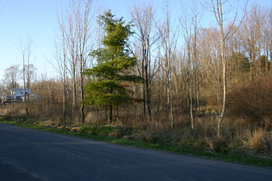 Prospective site for a small windmill