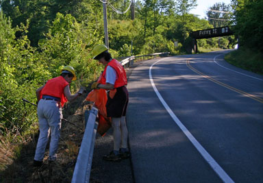Two Democrats cleaning the roadside
