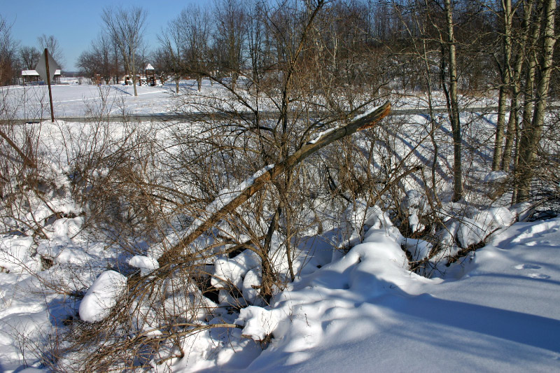 IMG_4307_edited