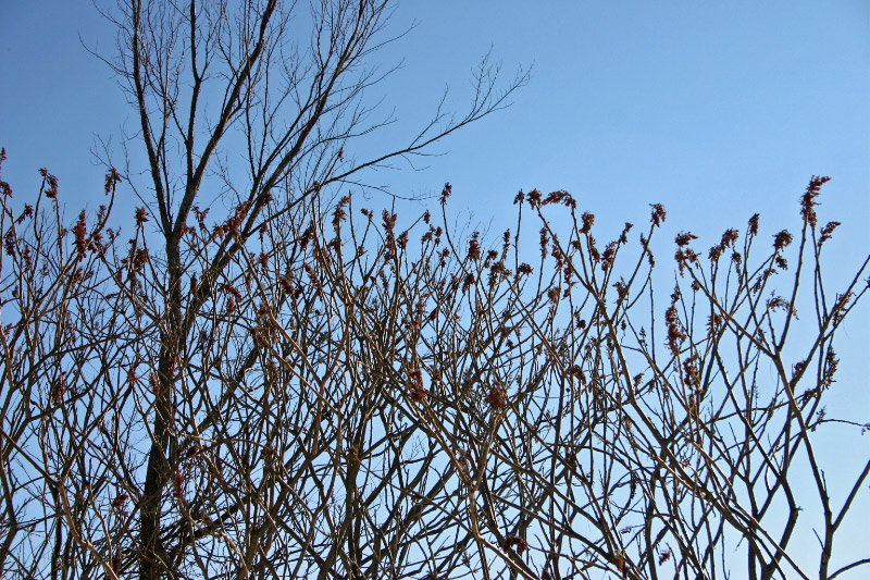 IMG_4310_edited