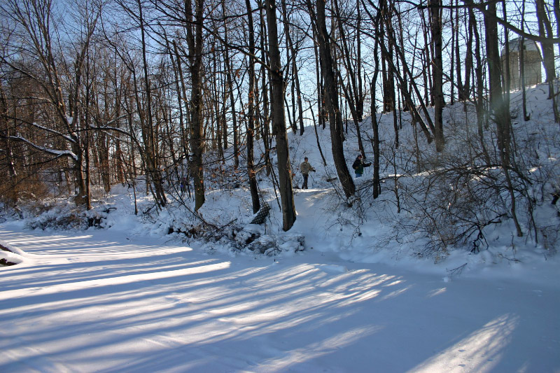 IMG_4318_edited