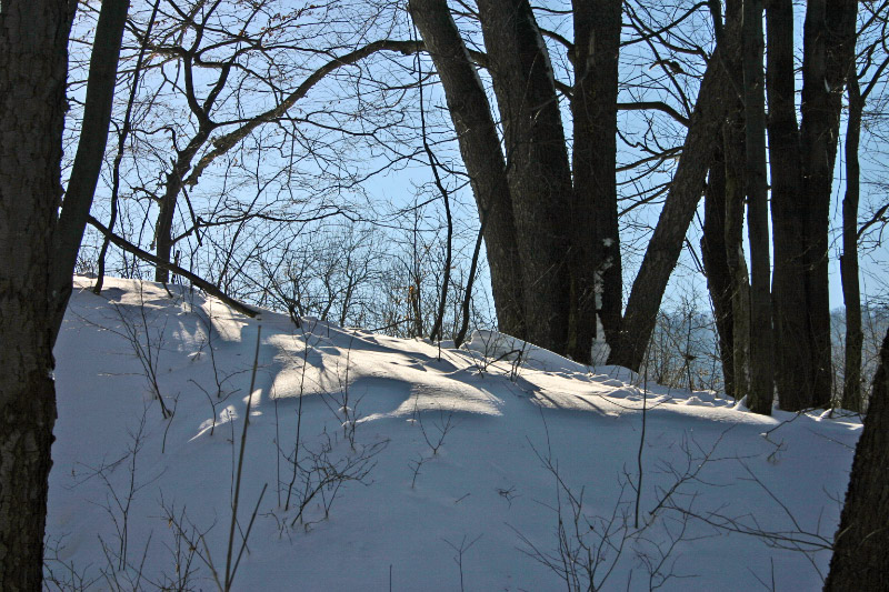 IMG_4333_edited