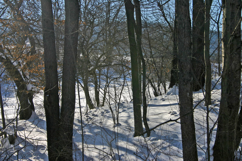 IMG_4335_edited