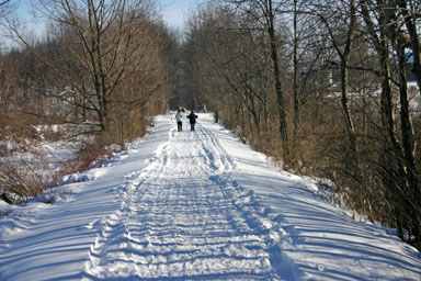 Skiers on the Jim Schug Trail