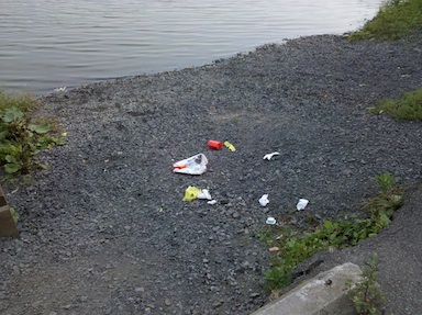 McDonald's trash at the lake.