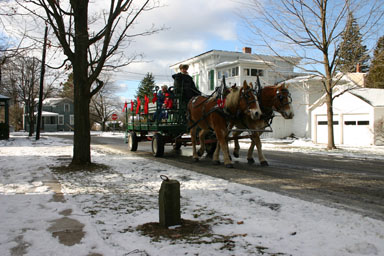 A horse & wagon history tour.