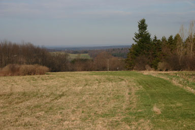 Looking north from 13, without powerlines