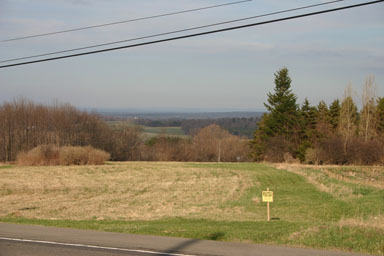 Looking north from 13, through powerlines