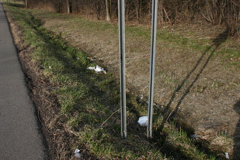IMG_8859