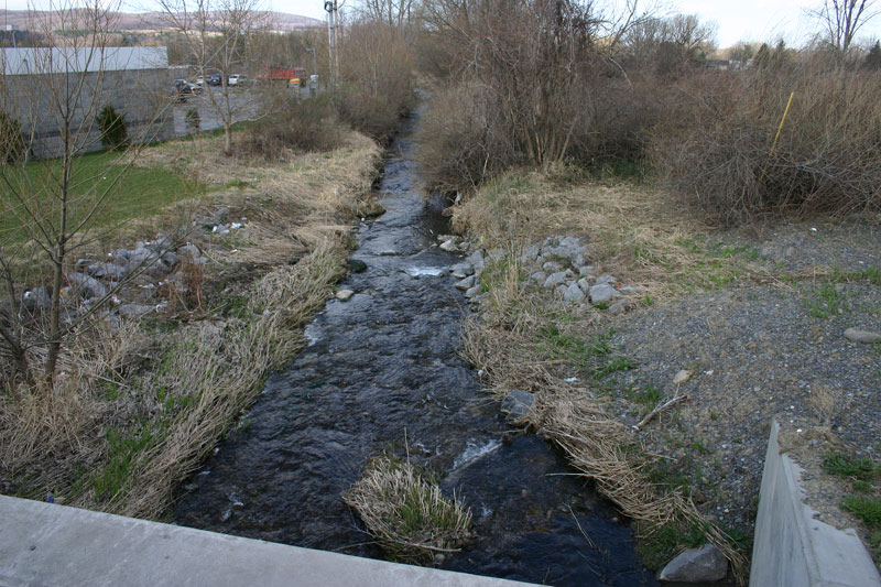 IMG_8900