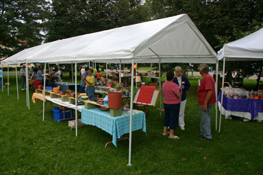 Booths at the Freeville Harvest Festival.