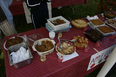 Apple Cook-off at the Freeville Harvest Festival