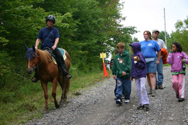 A horse on the seasonal use portion of Hammond Hill Road