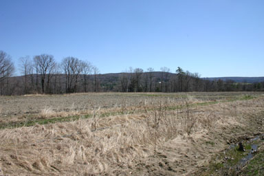 Garden plots awaiting gardeners