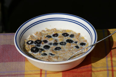 Black raspberries in cereal.