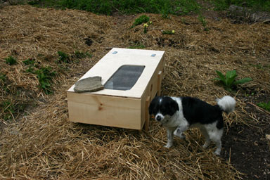 Brooder box in the garden