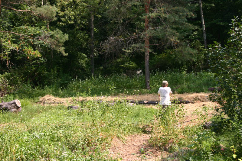 IMG_0735