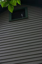 looking through the roofline.