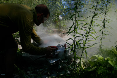 Cutting stone