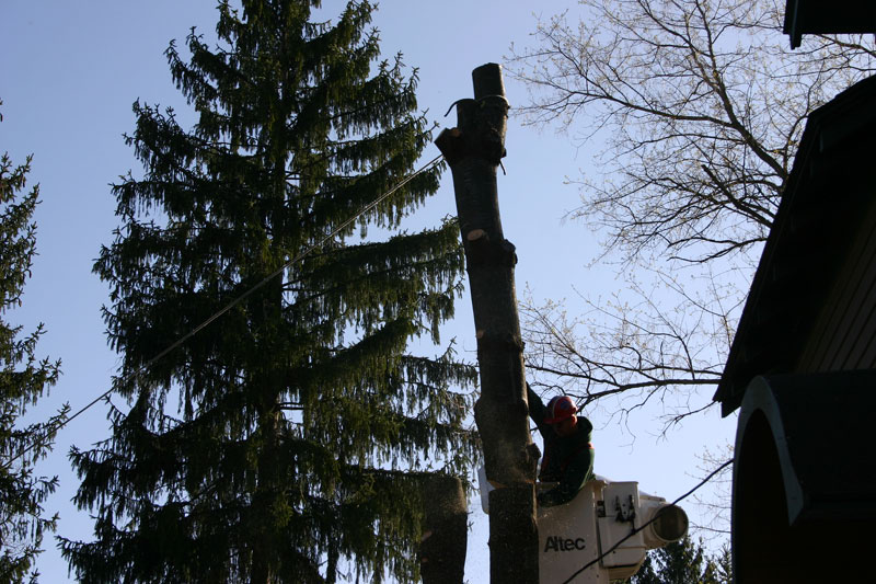 IMG_9047