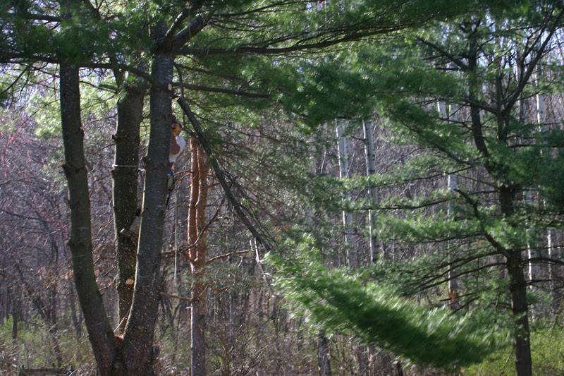 IMG_9073