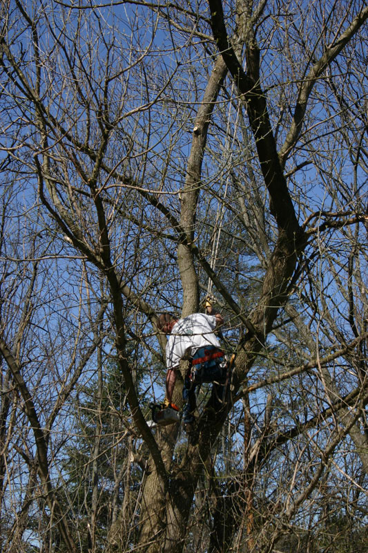 IMG_9110