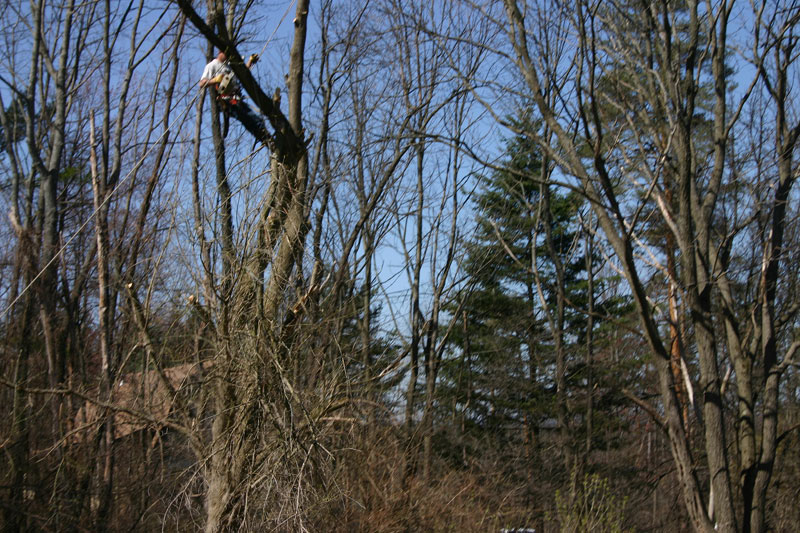 IMG_9117