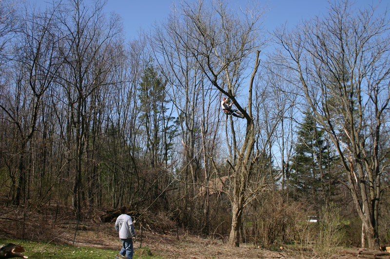 IMG_9123