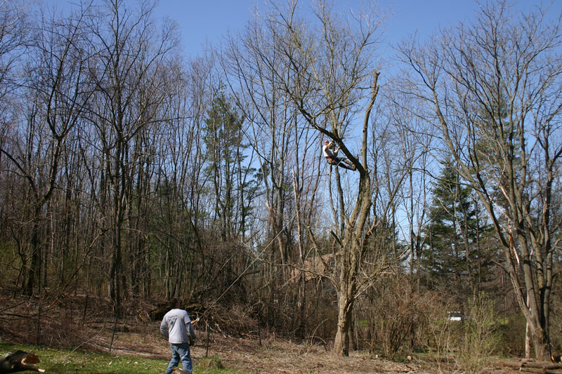 IMG_9124