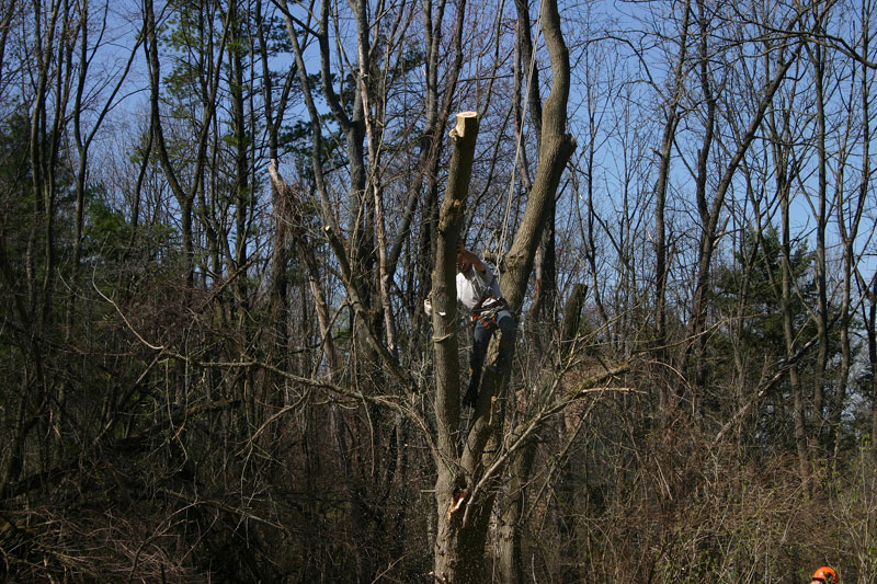 IMG_9143