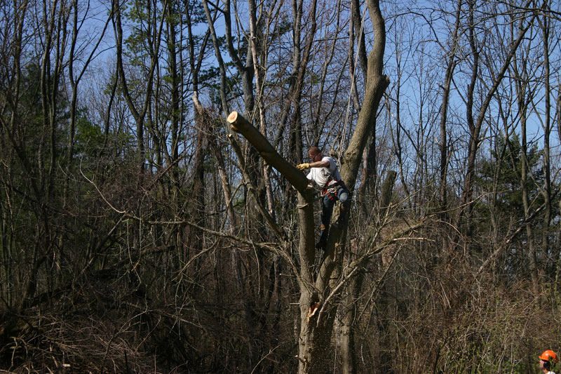 IMG_9145