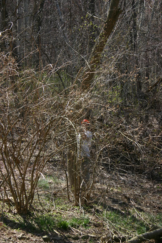 IMG_9150