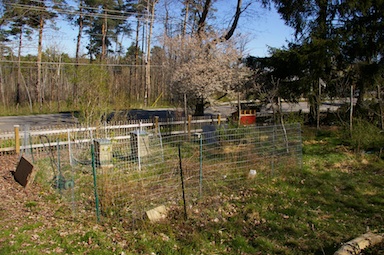 Yard with fences, beehives, solar panels, control box.