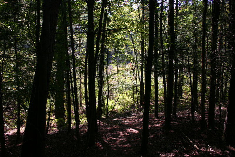 IMG_7646