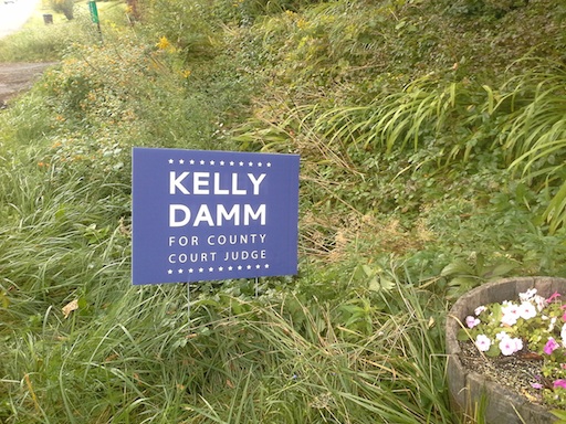Kelly Damm sign in front of my house