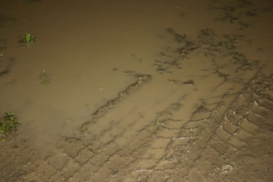 Mud in Varna