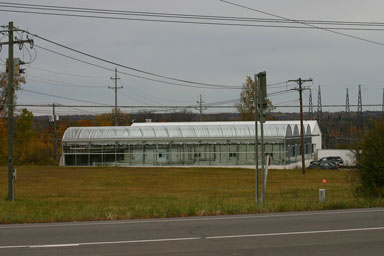 Finger Lakes Fresh grows hydoponic lettuce and more