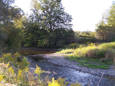 Fall Creek from Campbell Meadow.