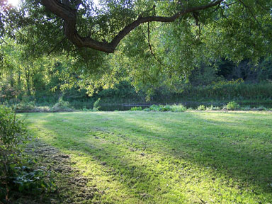 Lawn near the edge of Fall Creek.