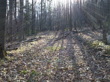 Old roadway going up the hill.