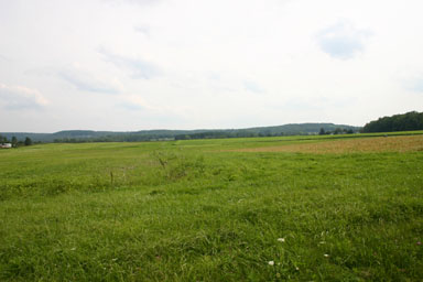 Cornell Fields along Dryden Road