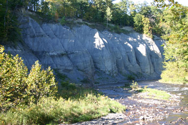 Fall Creek flowing past a steep embankment
