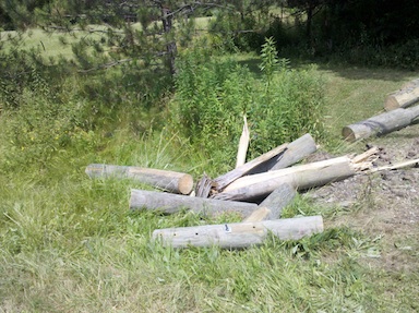 Utility pole, damaged and chopped.