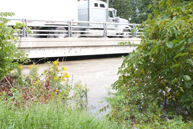 Virgil Creek under Route 13 in the Village of Dryden.