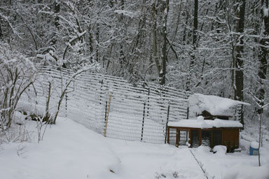 Snow-covered chicken coop.