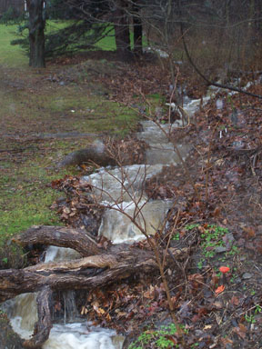 Waterfalls between my house and the neighbor.